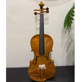 Tayste Violin 4/4 full size high quality - Glossy Finish