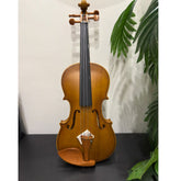 Tayste Violin 4/4 full size high quality - Matte finish