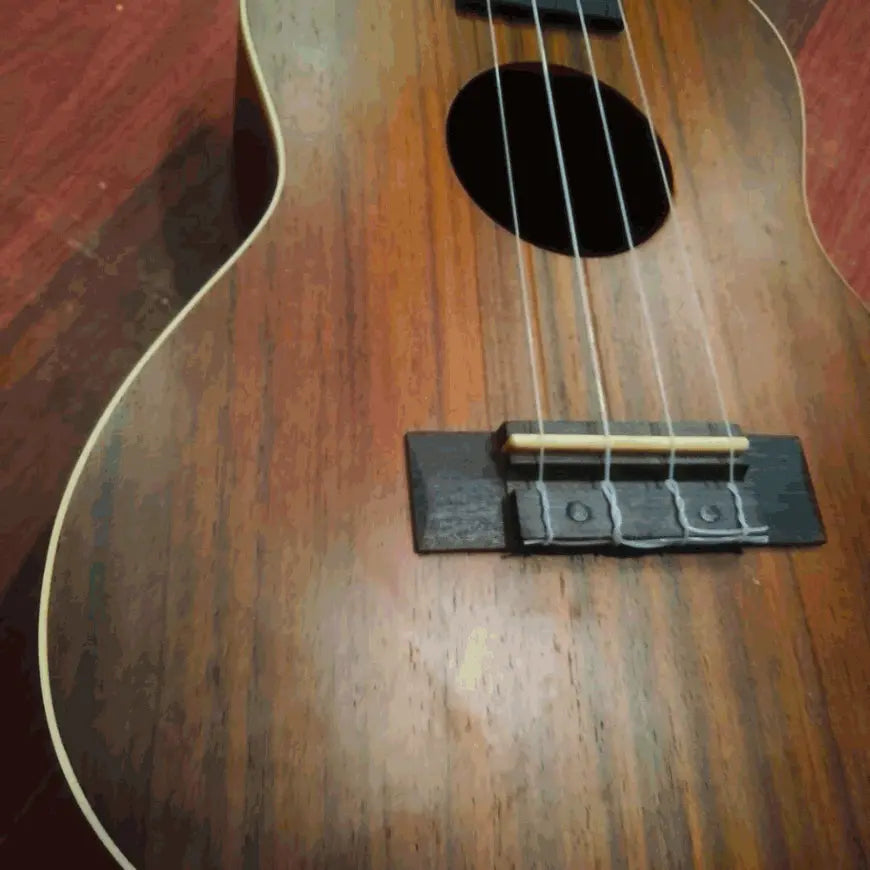 Concert Ukulele 23 Inch