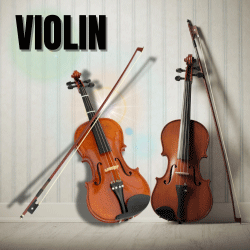 Haani Music Instruments - Buy Musical Instruments Online in Pakistan