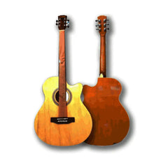 Professional 40” Acoustic Guitar