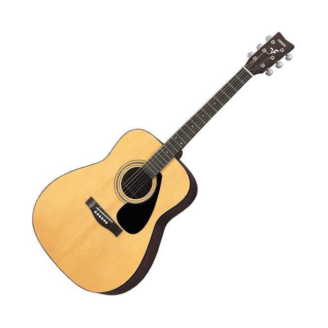 Guitars – Haani Music Instruments