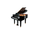 Haani Music Instruments - Buy Musical Instruments Online in Pakistan