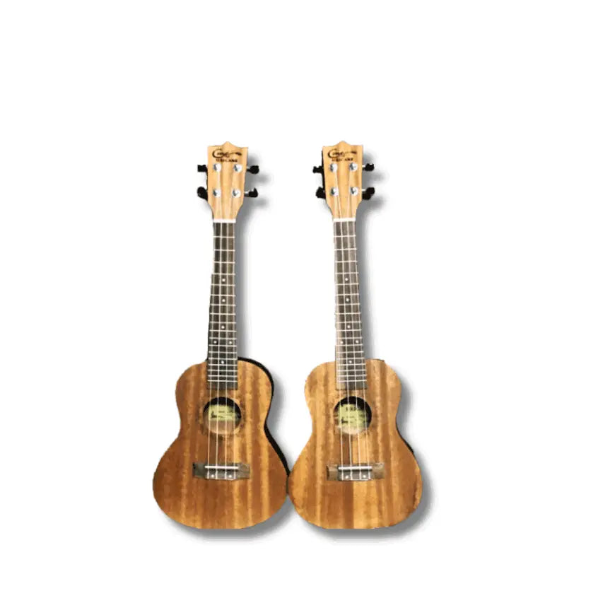 Concert Ukulele 23″