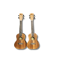 Concert Ukulele 23″