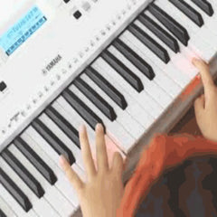 Yamaha EZ-300 Portable Keyboard - Touch Sensitive 61 Keys