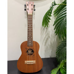 Flight NUC-310 24 inch concert ukulele