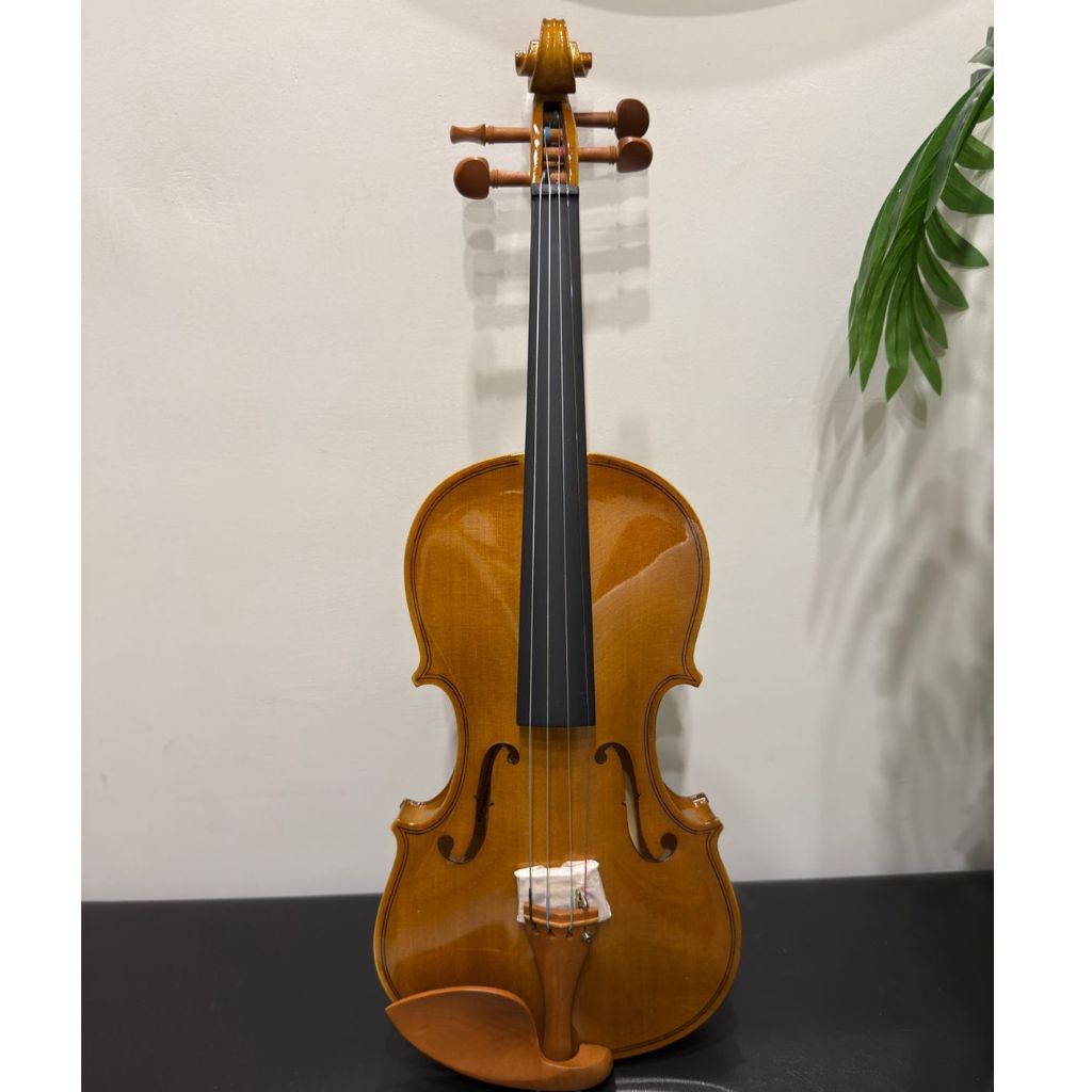 Tayste Violin 4/4 full size high quality - Glossy Finish