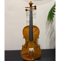 Tayste Violin 4/4 full size high quality - Glossy Finish