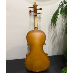 Tayste Violin 4/4 full size high quality - Matte finish