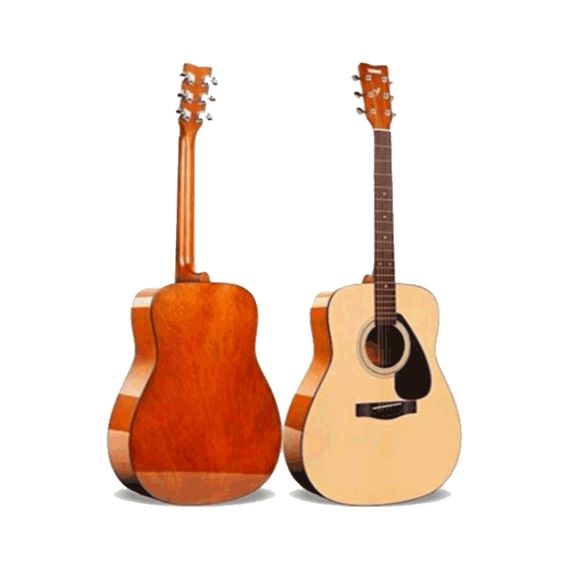 Guitars – Haani Music Instruments